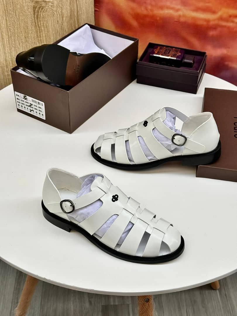 WhatsApp Image 2026-02-24 at 04.08.25 (1)